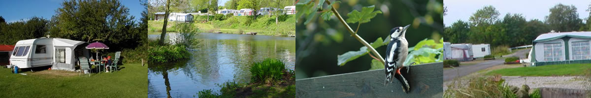 Touring Caravans at Redwell Fisheries Park